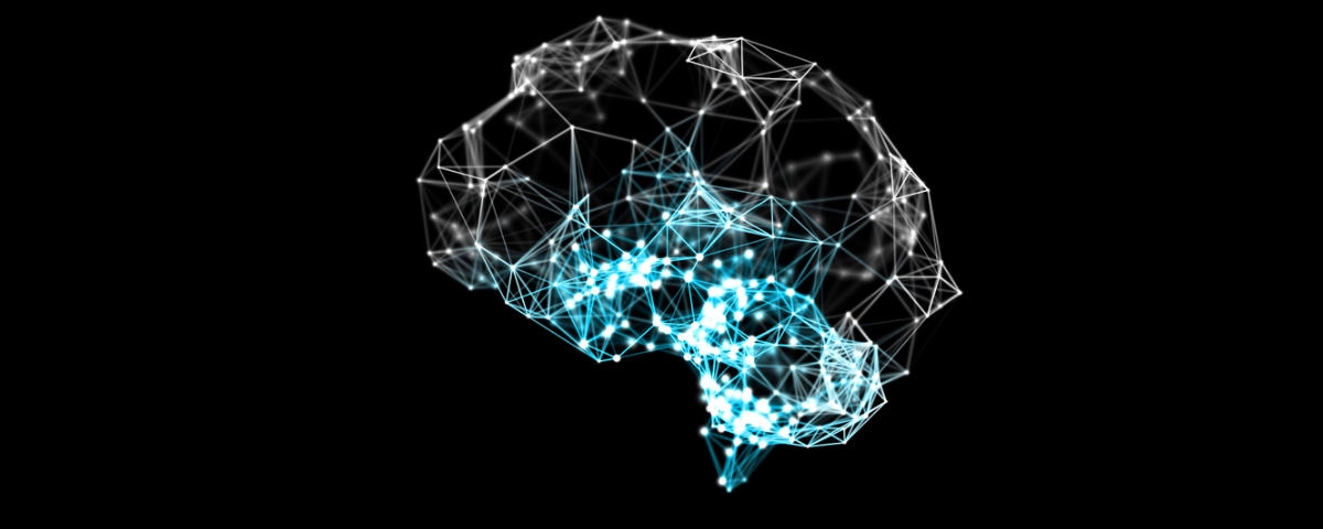 Brain Activity Visualization